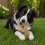 Daisy Bone Nylon Dog Toy for Aggressive Chewers | Durable | USA Made