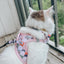 Cat Collar - Smitten Kittens
