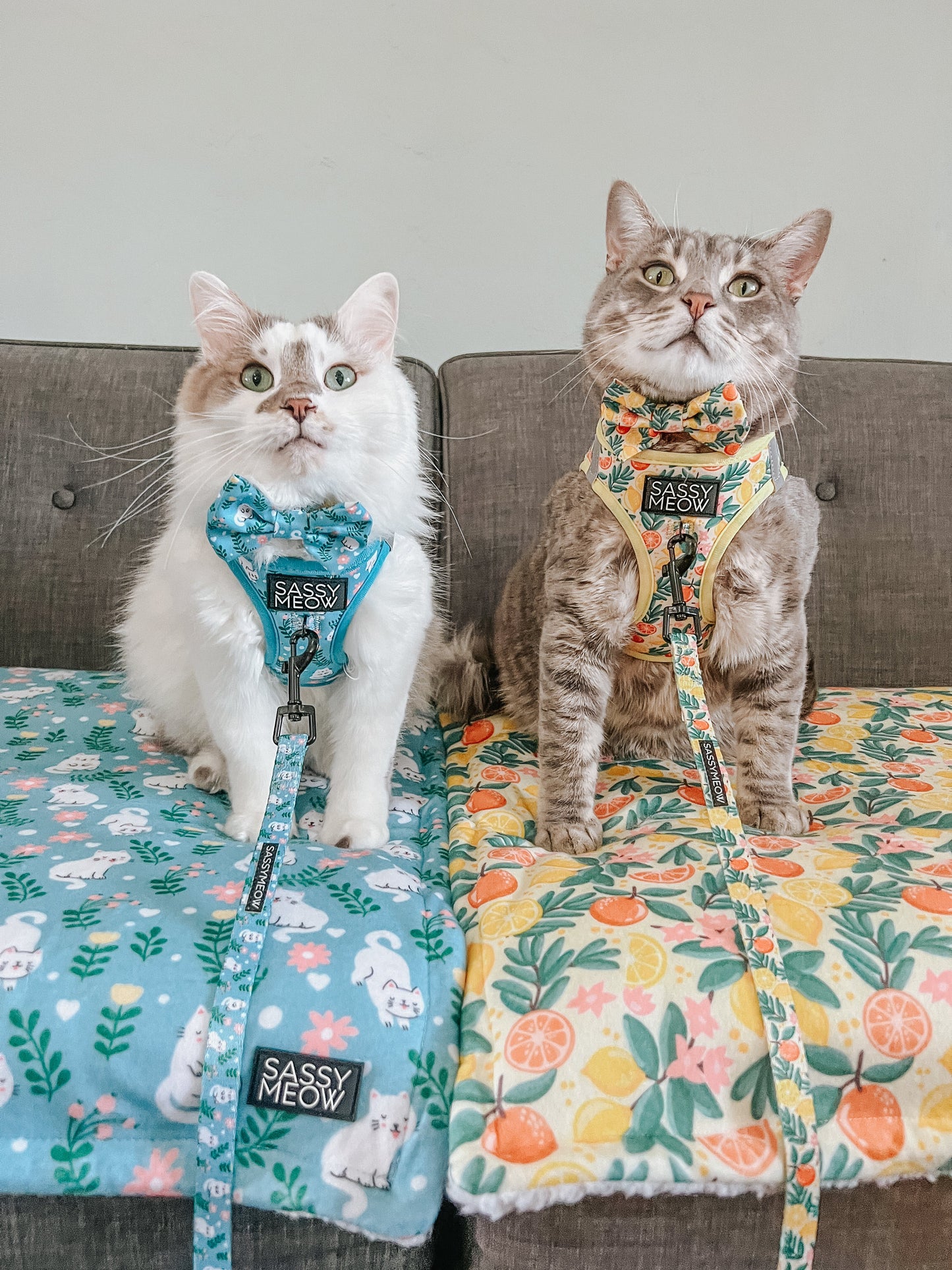 Cat Leash - Zest Friends