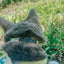 Cat Collar - Zest Friends