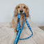Dog Leash - KEN™