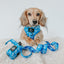 Dog Adjustable Harness - KEN™