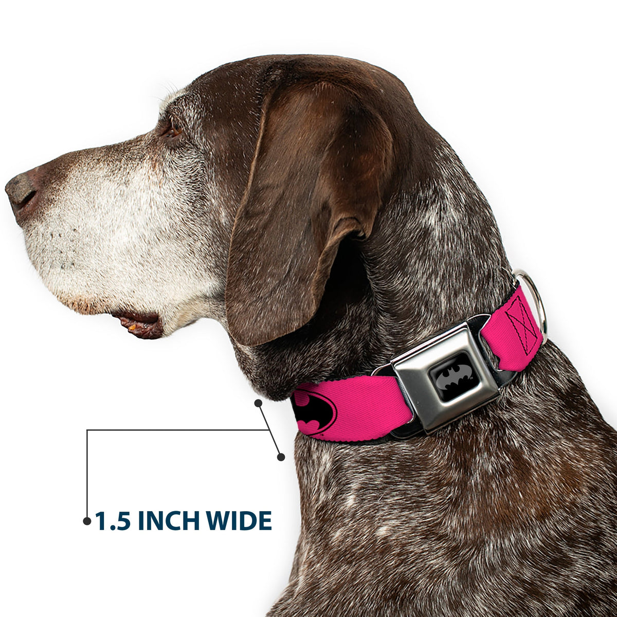 Batman Black Silver Seatbelt Buckle Collar - Bat Signal-3 Fuchsia/Black/Fuchsia
