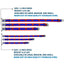 Superman Full Color Blue Seatbelt Buckle Collar - Superman Shield/Stripe Red/Blue