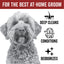 DOGDAYS Hydrating Dog Shampoo