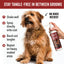 DOGDAYS Leave-In Detangling Spray