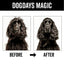 DOGDAYS Leave-In Detangling Spray
