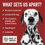 DOGDAYS Waterless Foaming Shampoo