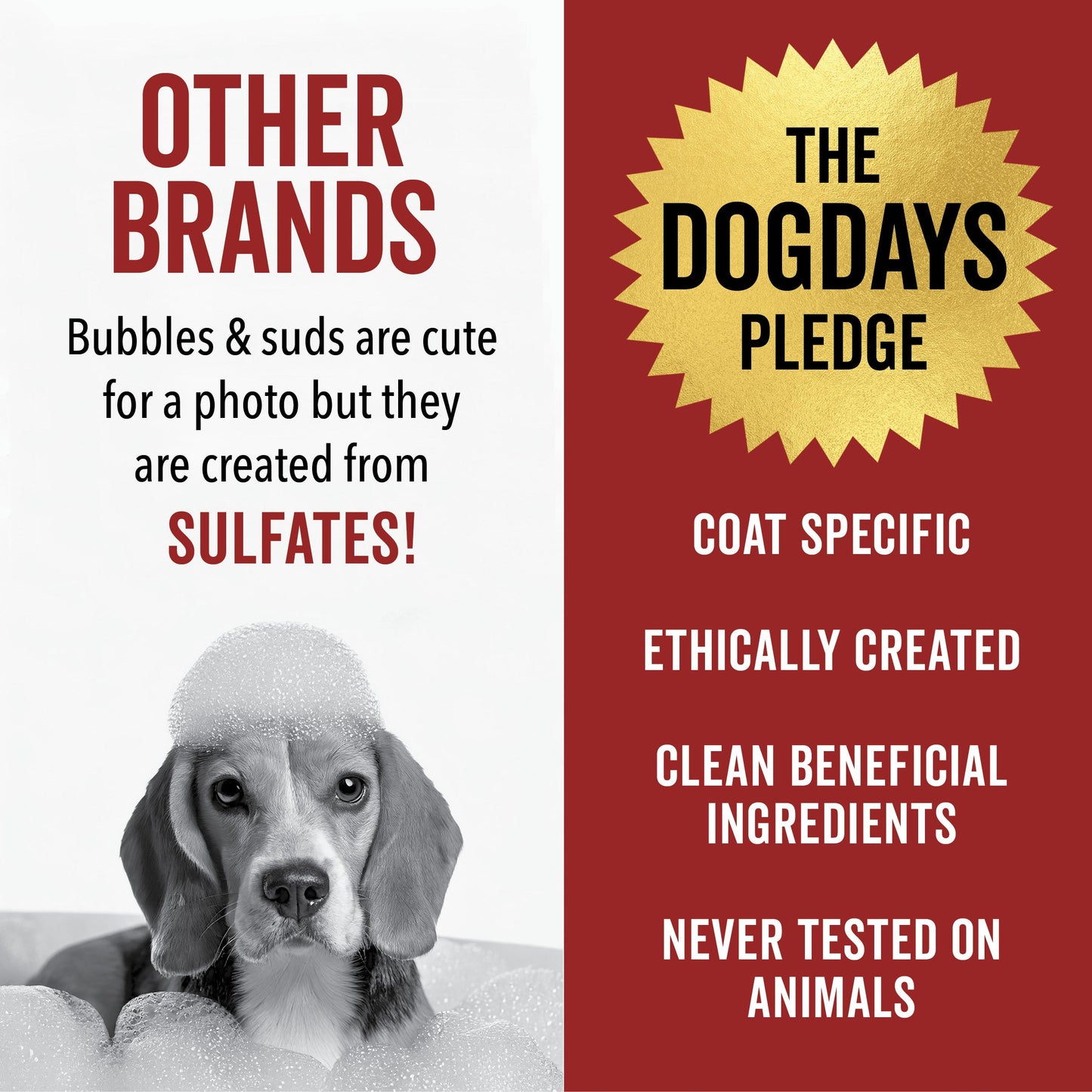 DOGDAYS Waterless Foaming Shampoo