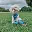 Dog Adjustable Harness - The Powerpuff Girls™ (Blue)