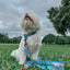Dog Collar - The Powerpuff Girls™ (Blue)