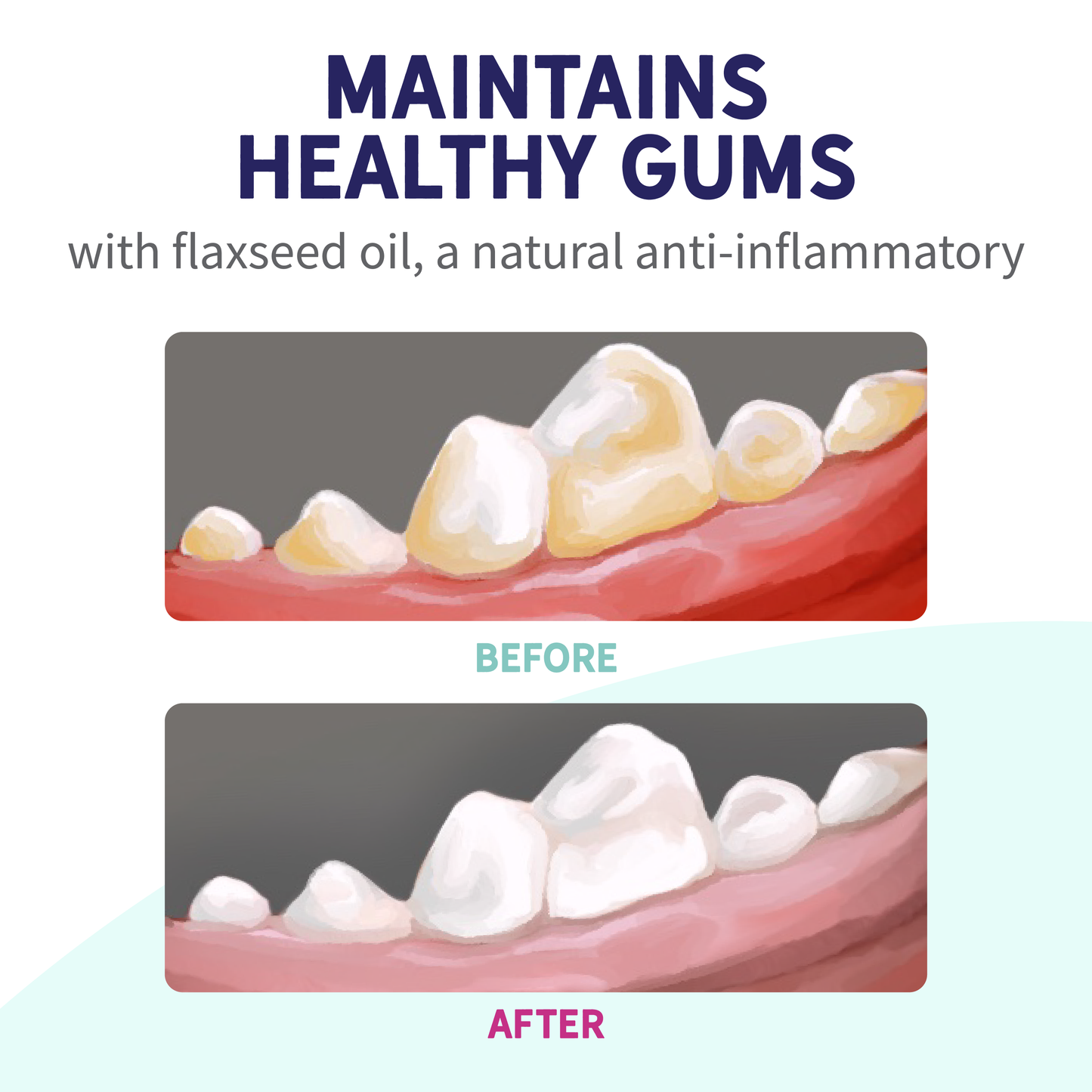 Fresh Breath Dental Bones