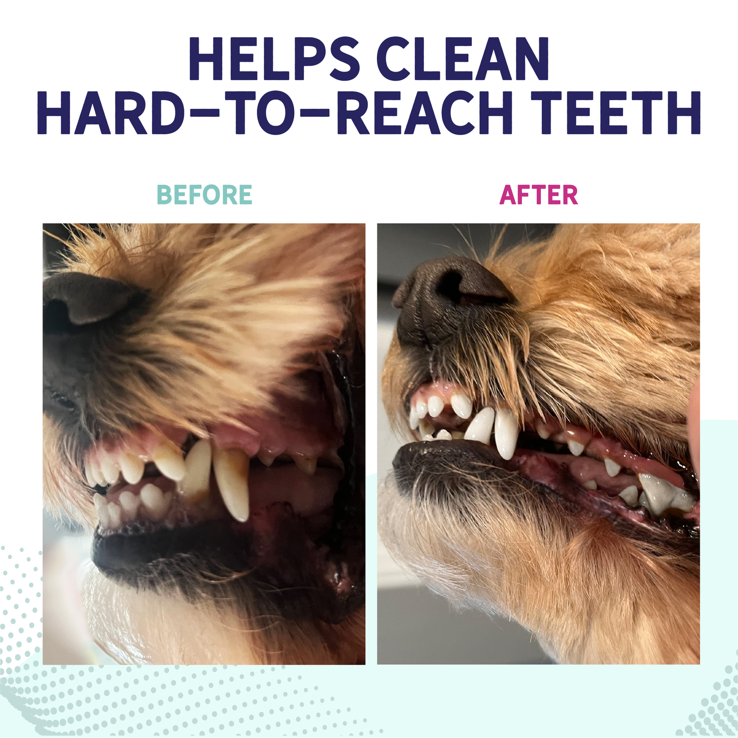 Peanut Butter Dental Bones