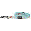 Dog Leash - Disney's Ariel