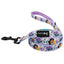 Dog Leash - Disney's Jasmine