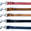 Pro Line Leather Braided Dog Leash