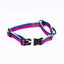 Outdoor Style All Nylon Martingale Collar