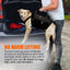 [LIFETIME WARRANTY!] NeoAlly 5-in-1 Sturdy Dog Lift Harness Full Body Support