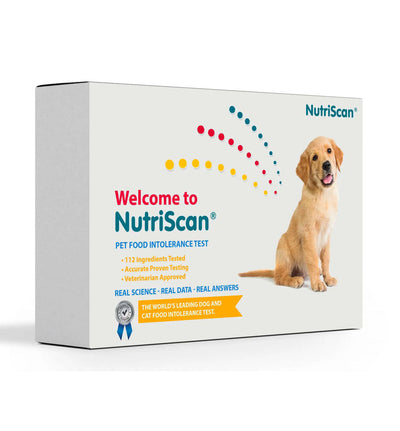 DOG FOOD ALLERGY/ SENSITIVTY TEST!