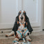 Dog Adjustable Harness - Mush Love