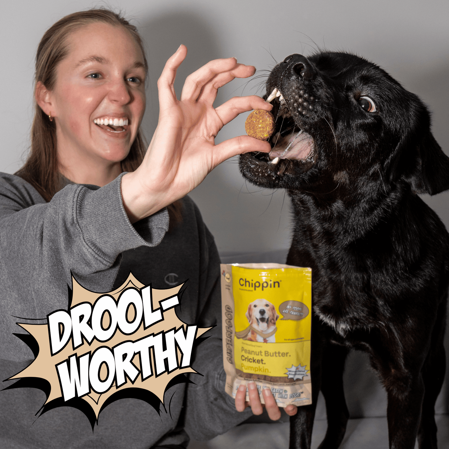 Superfood Cricket & Pumpkin Dog Treats, 4-Pack