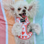 Dog Reversible Harness - Dolce Rose