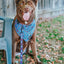 Dog Collar - MLB™ x Peanuts™ Chicago Cubs™