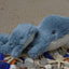 Mobie Whale Knottie® Plush Dog Toy