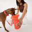 15oz Original Travel Dog Water Bottle