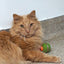 HuggleKats® PlayKat® Interactive Cat Toy