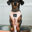 Dog Adjustable Harness - Pinot