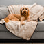 PupProtector™ Summer Short Fur Waterproof Throw Blanket - White with Brown Accents
