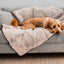 PupProtector™ Summer Short Fur Waterproof Throw Blanket - Grey