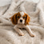 PupProtector™ Summer Short Fur Waterproof Throw Blanket - White with Brown Accents