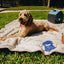 PupProtector™ Summer Short Fur Waterproof Throw Blanket - White with Brown Accents