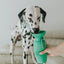 22oz Original Travel Dog Water Bottle