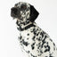 Original Waterproof Dog Collar