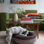 Chester & Lee | Chestnut Donut Dog Bed