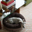 Chester & Lee | Chestnut Donut Dog Bed