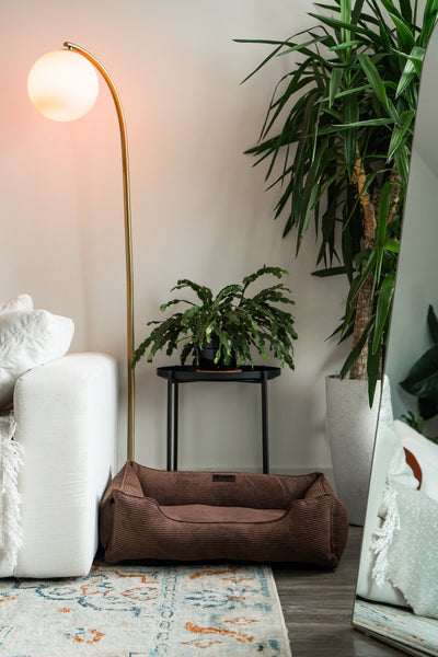 Chester & Lee | Milk Chocolate Sleeper Dog Bed