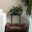 Chester & Lee | Milk Chocolate Sleeper Dog Bed