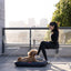 Chester & Lee | Waterproof Lounger Dog Bed Gray
