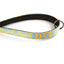 4 Ft Limited Edition Leash