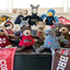 NCAA U.S. Military Academy, Army Mule Knottie® Plush Dog Toy