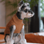 Pet Sweater Vest - Toffee Orange