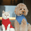 Pet Sweater Vest - Ice Blue