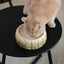 Puff Pet Bowl - Gradient Olive