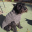 Gray Cable Knit Dog Sweater
