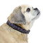cuteNfuzzyÂ® Padded Adjustable Patterned Dog Collar with Warranty