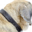 Derby Dog Designer Series Tooled USA Leather Padded Barbwire Dog Collar with Stainless Steel Rolled Buckle for Comfort